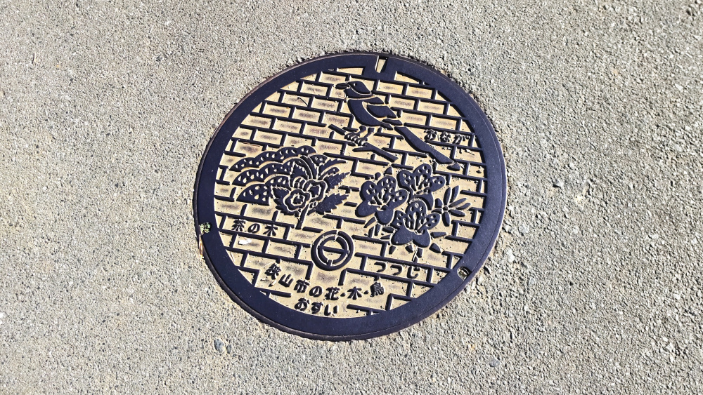 埼玉県狭山市のマンホール