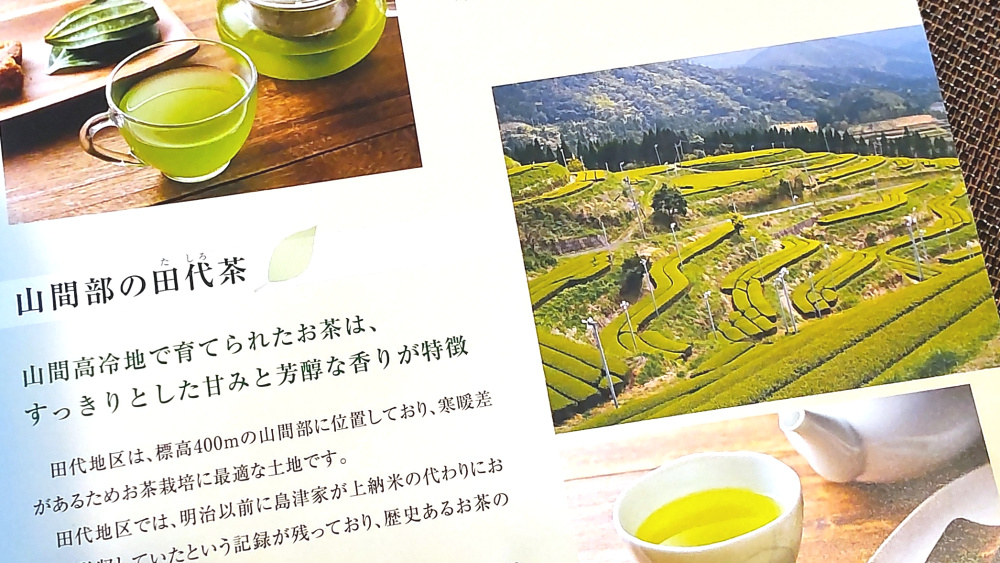 鹿児島県錦江町のお茶に関するリーフレット