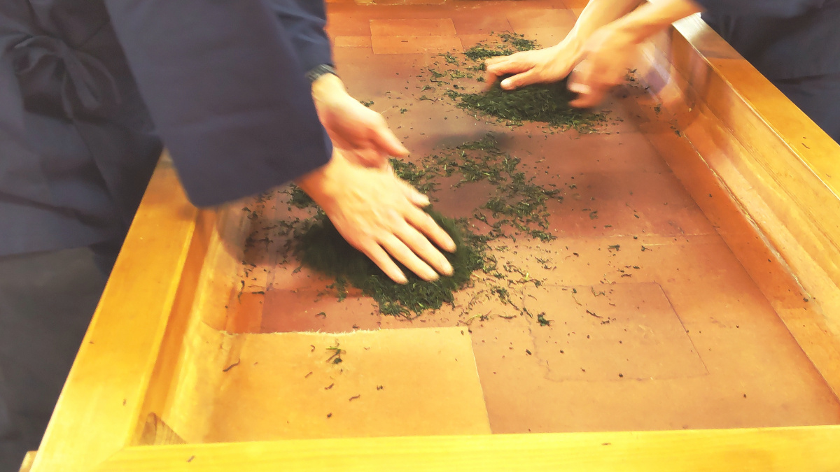 さしま茶の手揉み製茶