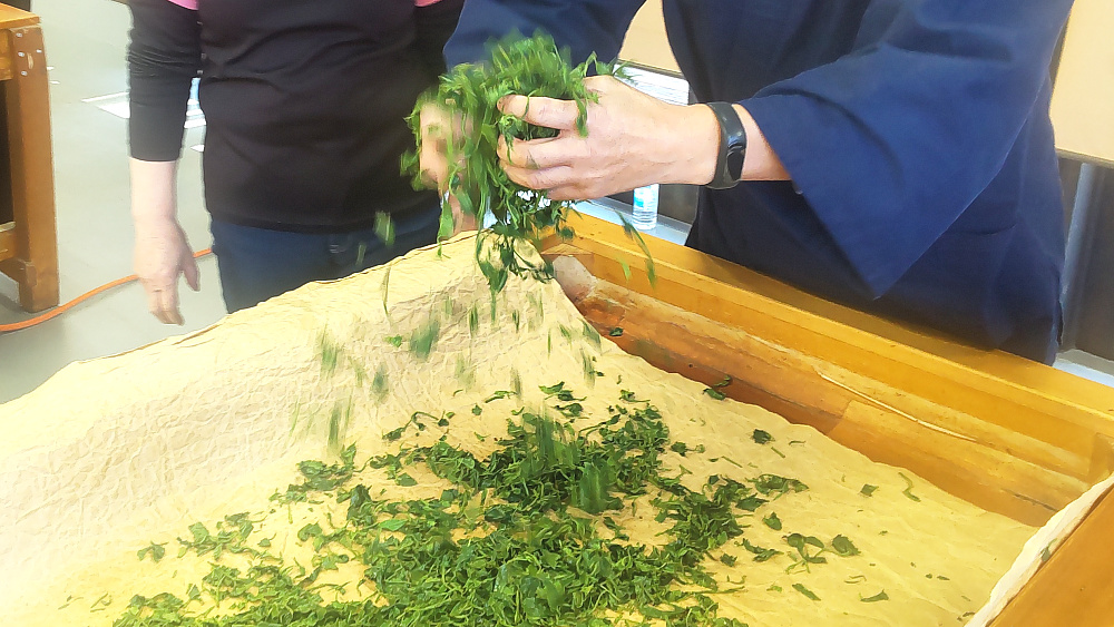 手揉み製茶「葉振い」