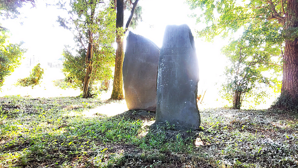 狭山茶の記念碑(重闢茶場碑/茶場後碑)
