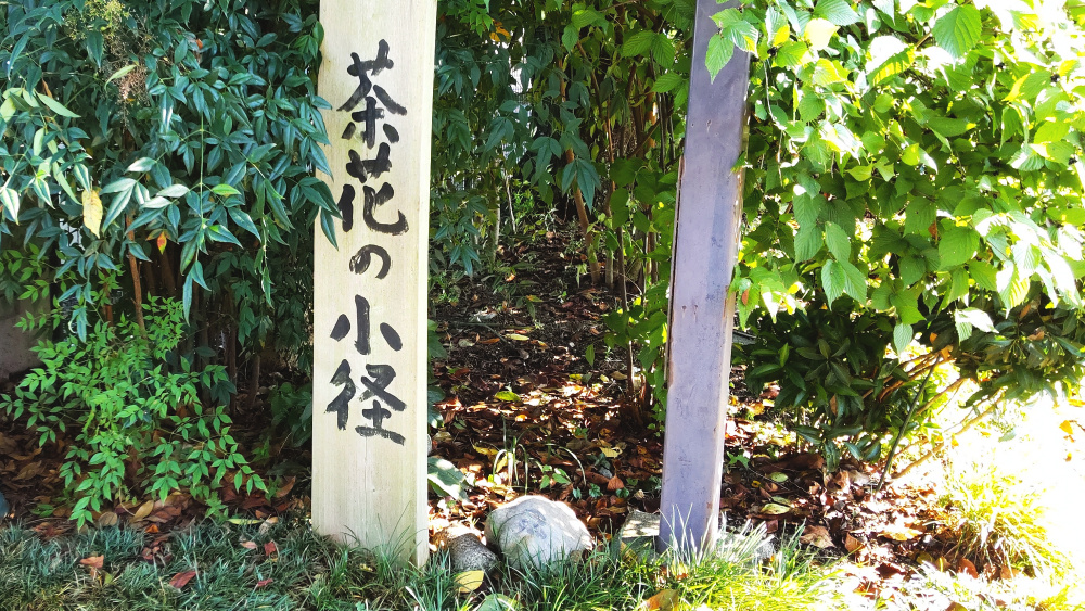 入間市博物館ALIT「茶花の小径」